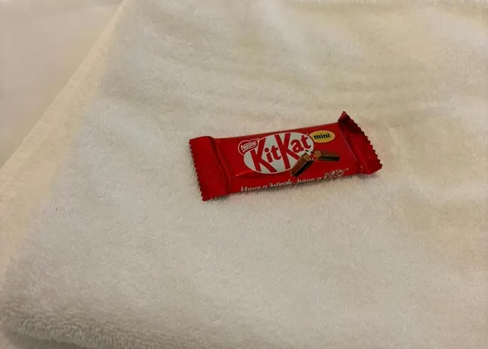 Nook-küche-parkplatz-natur